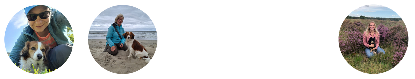 Over Ons Hondenschool Puppyclass